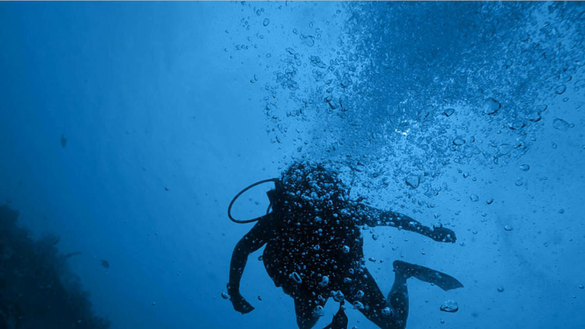 Mit der Blue Ocean-Strategie neue Märkte erobern