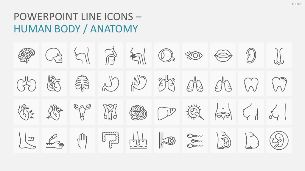 240 Line Icons – Medizin & Wissenschaft PowerPoint-Vorlage