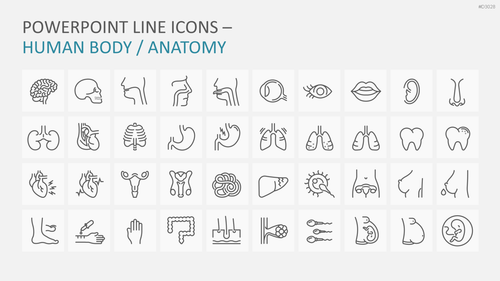 240 Line Icons – Medizin & Wissenschaft PowerPoint-Vorlage