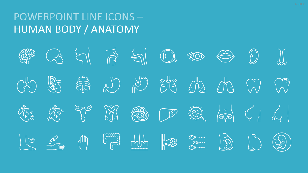 240 Line Icons – Medizin & Wissenschaft PowerPoint-Vorlage