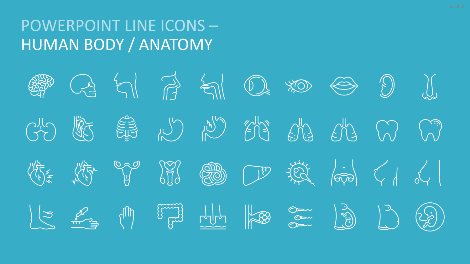240 Line Icons – Medizin & Wissenschaft PowerPoint-Vorlage