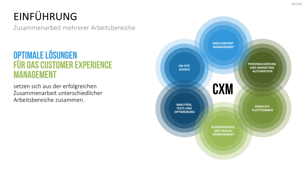 Customer Experience Management PowerPoint-Vorlage