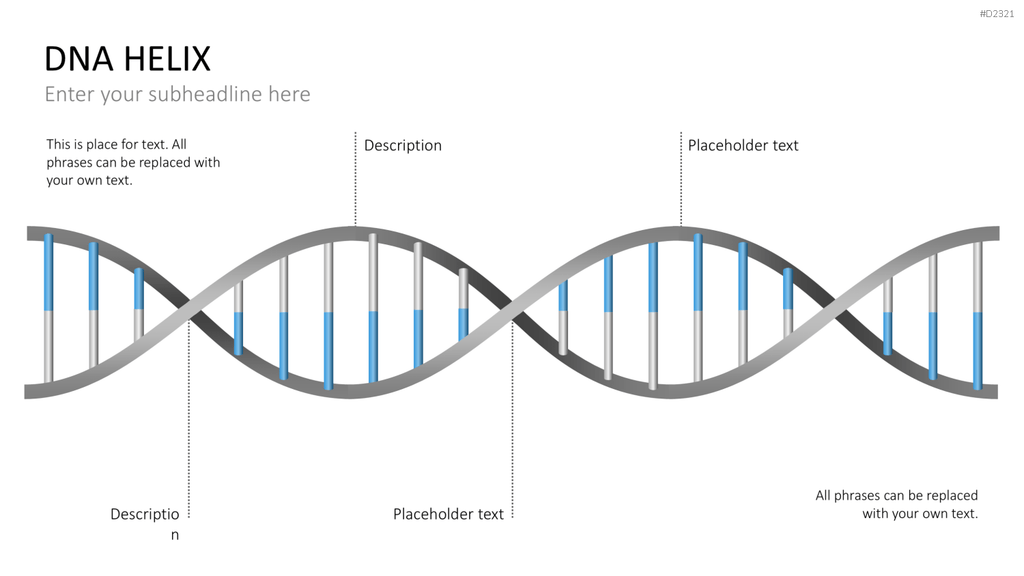 DNA Doppelhelix PowerPoint-Vorlage