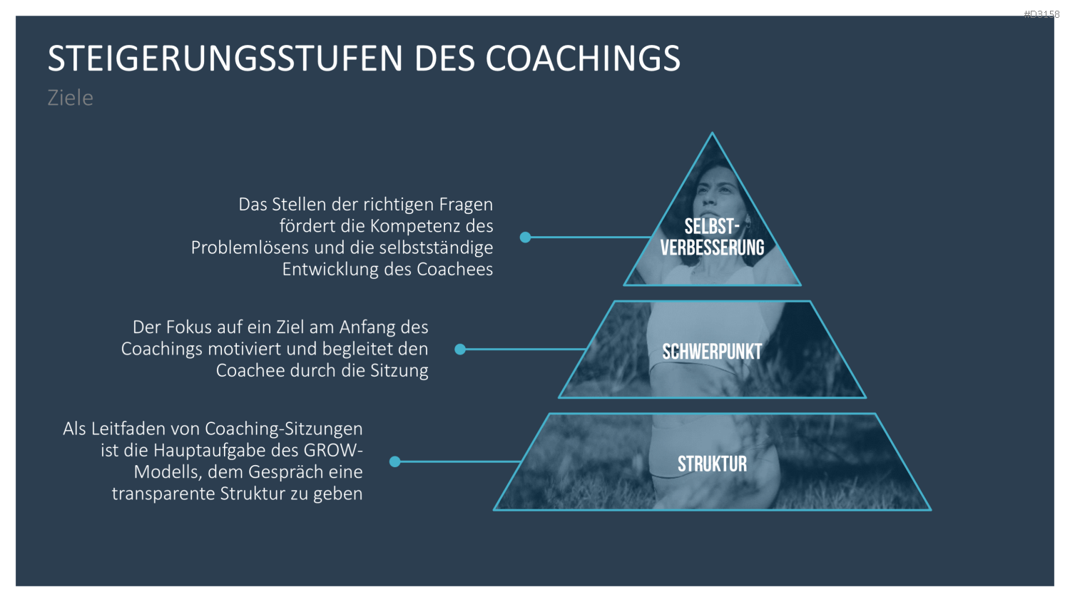 GROW-Modell