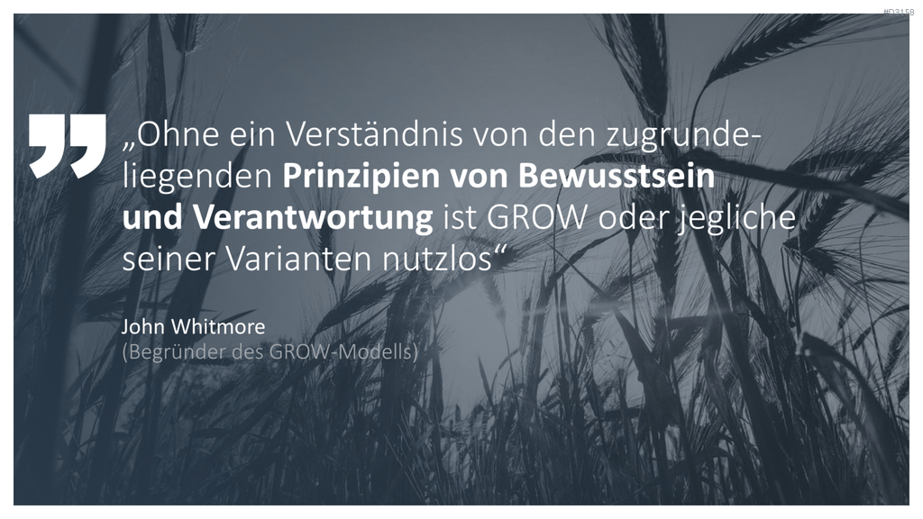 GROW-Modell
