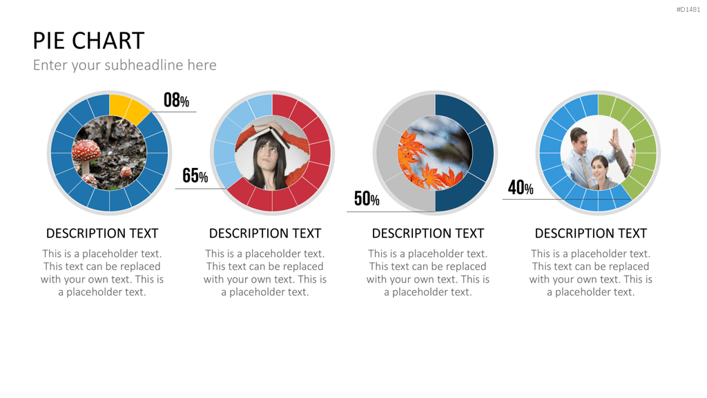 Kuchendiagramm-Toolbox PowerPoint-Vorlage