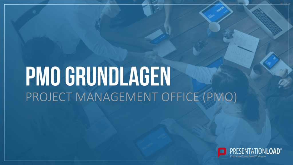 Project Management Office (PMO)