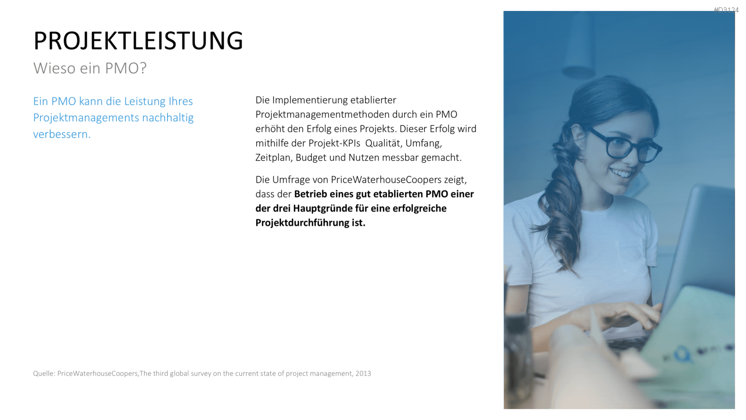 Project Management Office (PMO)
