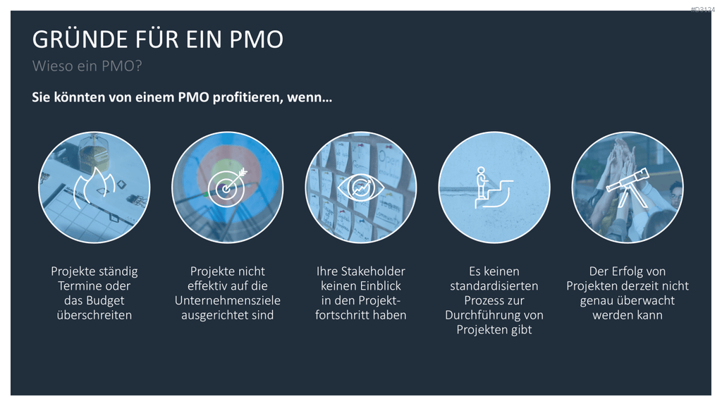 Project Management Office (PMO)