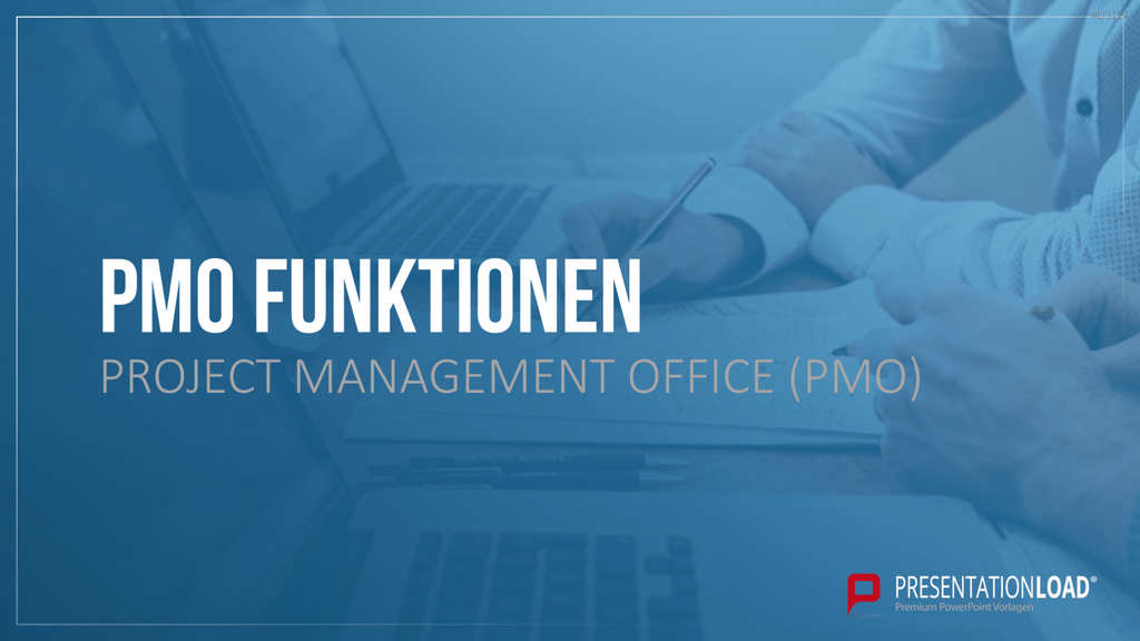 Project Management Office (PMO)