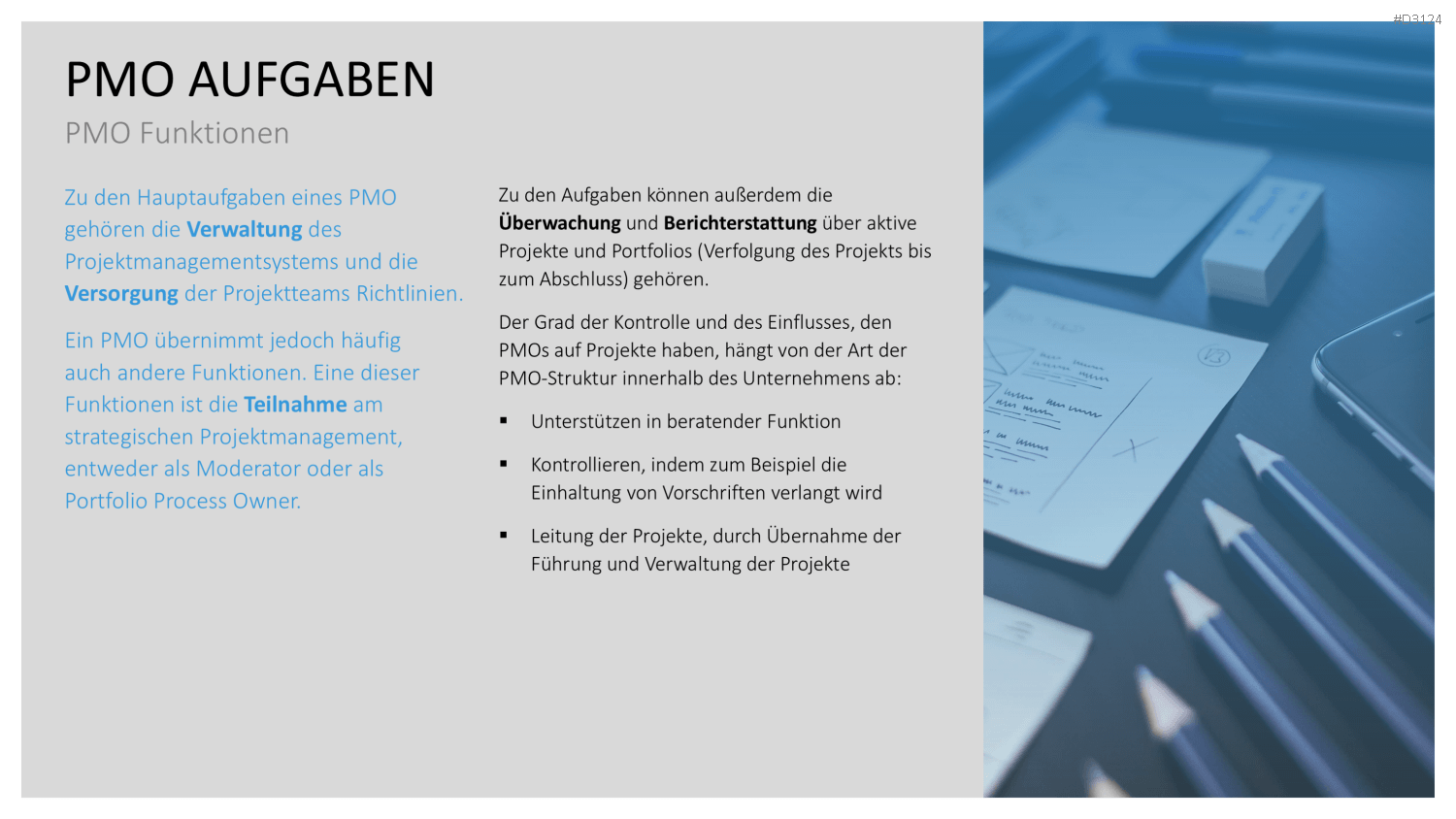 Project Management Office (PMO)
