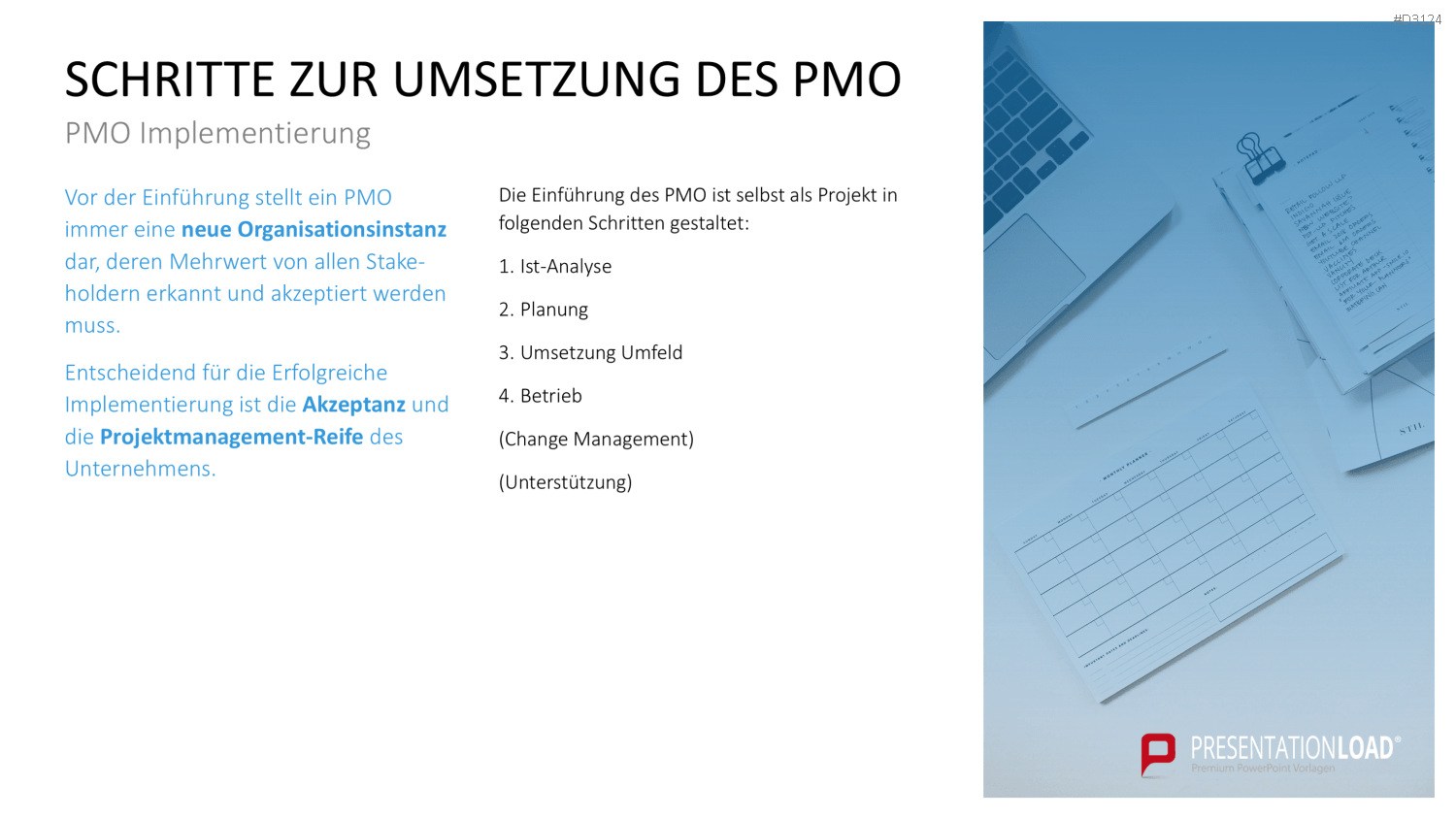 Project Management Office (PMO)