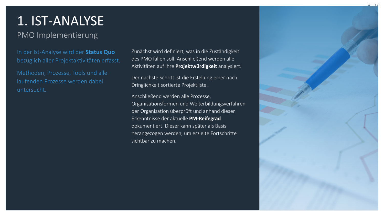 Project Management Office (PMO)