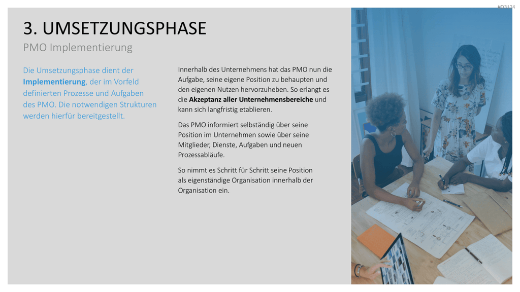 Project Management Office (PMO)