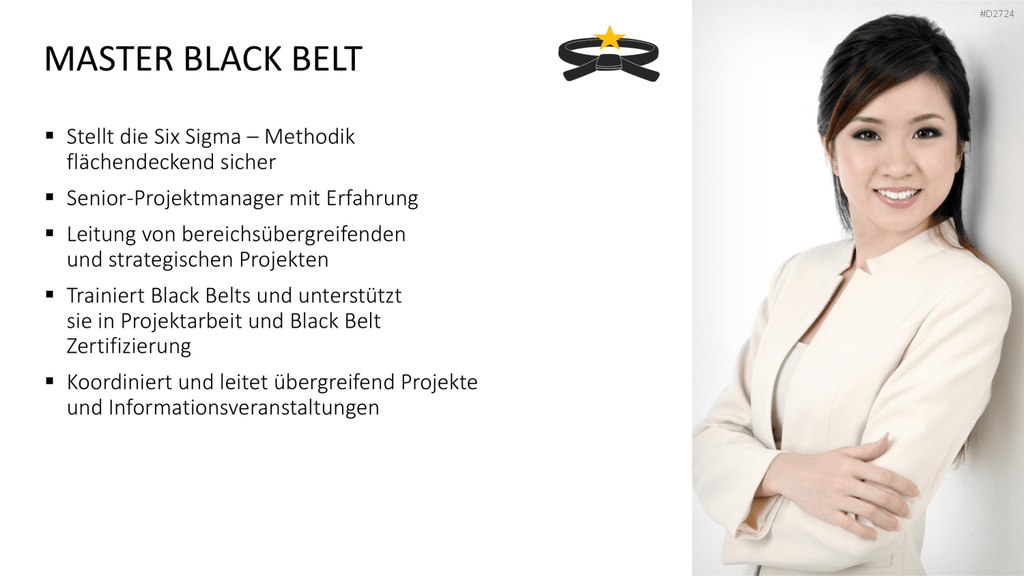Six Sigma PowerPoint-Vorlage