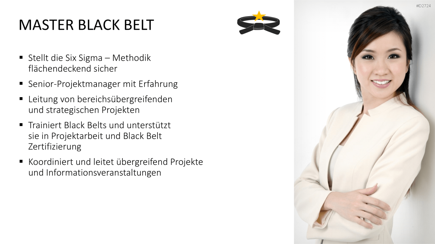 Six Sigma PowerPoint-Vorlage